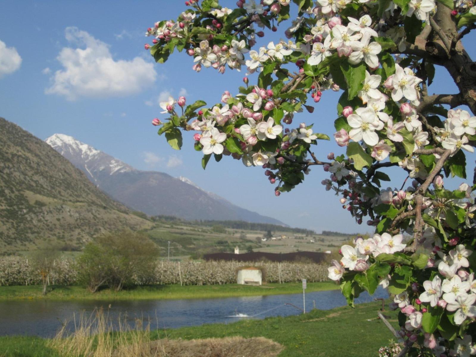 Ferienwohnungen Parth Lasa Dış mekan fotoğraf